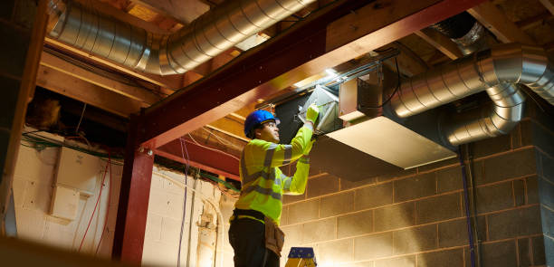 Best Affordable Duct Cleaning Services  in Hidalgo, TX
