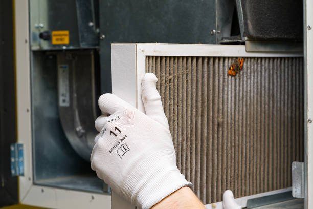 Best Air Duct Cleaning Near Me  in Hidalgo, TX