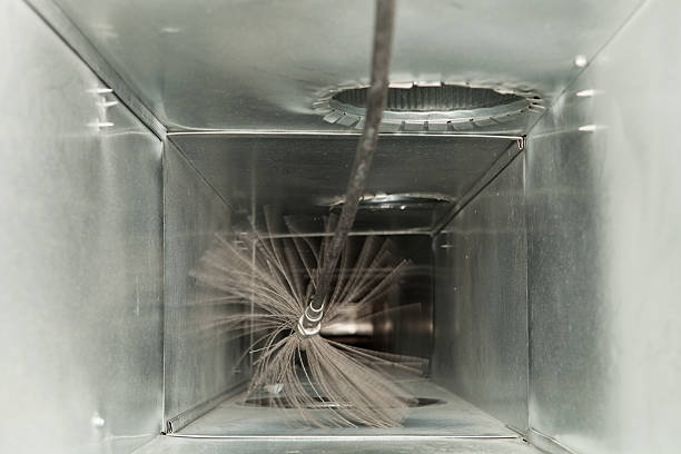 Best Affordable HVAC Duct Cleaning  in Hidalgo, TX