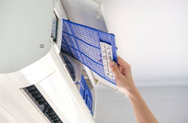 Best Air Duct Cleaning Near Me  in Hidalgo, TX
